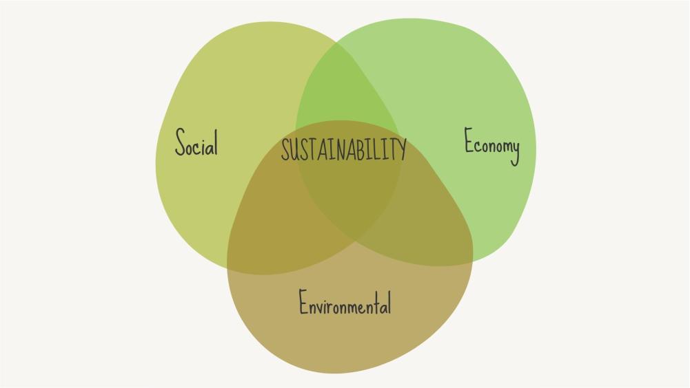 The Concept of Sustainability