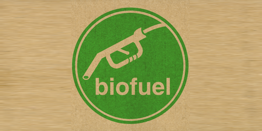 The Urge for Sustainable Biofuel as An Alternative Fuel for Indonesia’s Energy Transition.