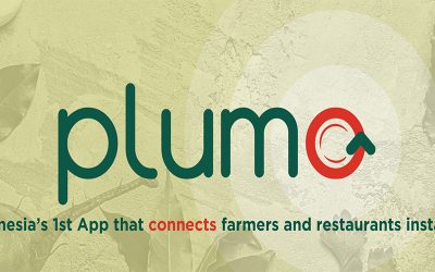 PLUMO App