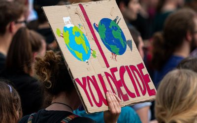 Small Steps in Climate Action: Why COP29 Still Matters
