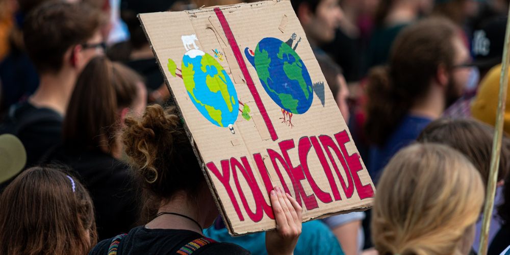 Small Steps in Climate Action: Why COP29 Still Matters